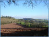 Distant view from Cadbury Hill Fort