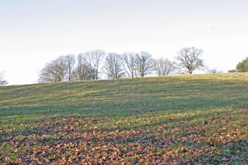 Inner Earthworks at Cadbury castle