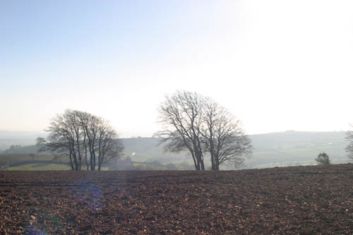 Distant view from Cadbury Hill Fort