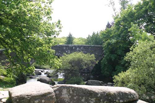 dartmeet