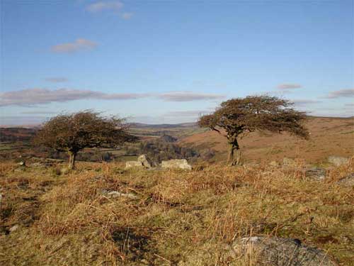 Dartmoor view from  Hexworthy
