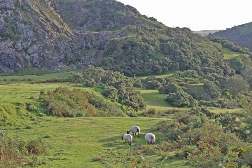 Quarry Park, near Okehampton