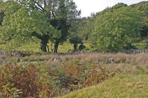 Quarry Park, near Okehampton