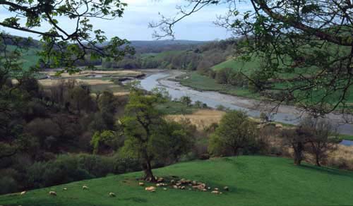 River Dart near Ashprington