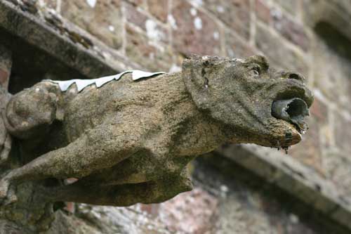 gargoyle on Winkleigh church