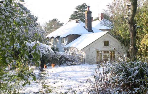 Gooseberry Cottage in the snow